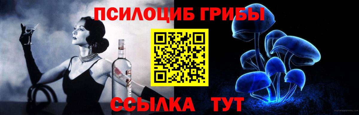 дарнет шоп  Вход с VPN  Рассказово  Галлюциногенные грибы MAGIC MUSHROOMS 